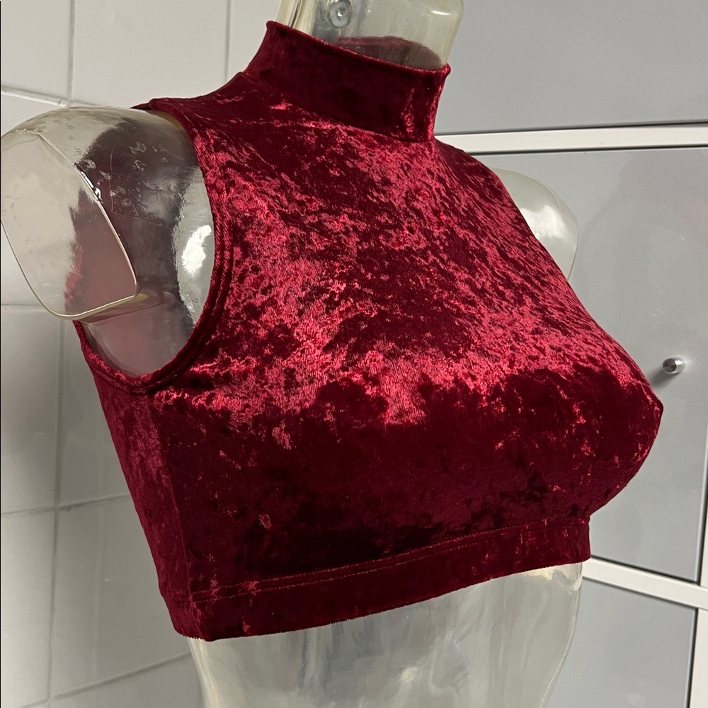 Mock Collar Crop Keyhole Dance Top Y2K M NWT Wine Velvet